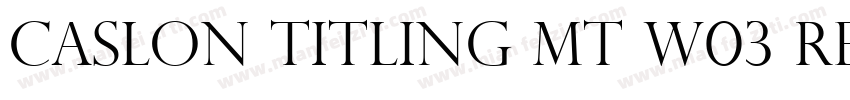 Caslon Titling MT W03 Regular字体转换